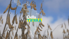 Uruguay TV: Clima, soja, suelos degradados y agronomía vía los académicos; con G. Reynoso y E. Hoffman