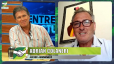 ¿Cómo defender la siembra de gruesa y la retención ganadera frente a La Niña?; con A. Colaneri - agrónomo