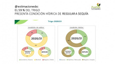 Trigo: nuestro mercado climático para trigo sigue esperando lluvias, y por lo menos hasta el lunes siguen sin aparecer donde mas se necesitan, con Paulina Lescano - Clínica de Granos