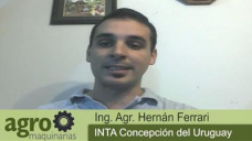Agromaq. TV: ¿Cómo regular la cosechadora para no diseminar malezas resistentes?; con H. Ferrari - INTA
