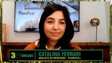 Estrategias comerciales: ¿retener Soja?, ¿negociar Maíz?, ¿vender Trigo dispo?; con Catalina Ferrari - analista