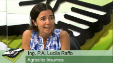 TV: ¿Cómo es el panorama de venta de Insumos en el 2015?; con Lucila Raffo