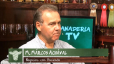 Ganad.TV B3:  ¿Cómo reaccionarán los mercados Ganaderos locales y la exportación?; con M. Achával - Martillero
