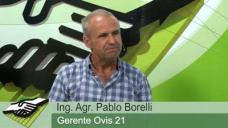 TV: ¿Retorno de la producción Ovina en Pampa Húmeda y Patagonia de la mano de los jóvenes?