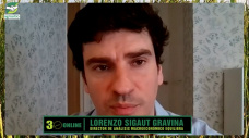 ¿Qué hará Massa con la economía si pierde?, ¿cómo arrancará Milei?; con Lorenzo Sigaut G. - economista
