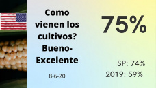 Maíz: avanza la cosecha y los precios locales siguen firmes e invita a capturarlos, con Paulina Lescano - Clínica de Granos