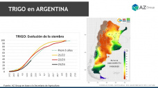 Trigo: Siembras demoradas por un clima que no mejora definitivamente, con Lorena D´Angelo - Clínica de Granos