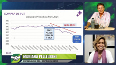 ¿Qué hacemos con Soja y Maíz 2024 ante esta caída de precios?; con Mariana Pellegrini - Matba Rofex