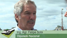 TV: ¿Felipe Solá, vos crees que podemos sacar a flote al Campo el 10D?