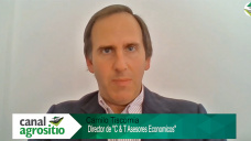 TV: ¿La economía vuelve a tomar impulso y se estabiliza el dólar?; con C. Tiscornia - Economista