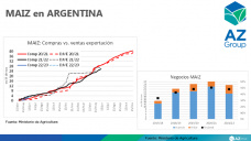 Maíz: El cereal sigue dando oportunidad de buenos negocios, con Lorena D´Angelo - Clínica de Granos