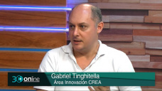 ¿Por qué hay más desarrollo de AgTech ganaderas que agrícolas?; con G. Tinghitella - CREA
