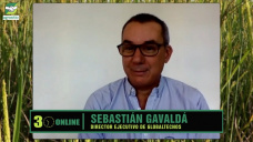 El impacto de la baja de las DEX, y cuando vender bien los granos; con Sebas Gavaldá - Globaltecnos