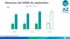 Maíz: Cuando la realidad supera las expectativas, con Catalina Ferrari - Clínica de Granos