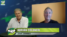 Decisiones de agrónomos y productores con 