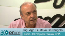 30 online B1: ¿Podemos alcanzar 3 Mill ha Forestadas y generar U$S 6000 Mill/ año?; con G. Cetrángolo