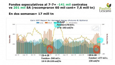 Maíz: en un abrir y cerrar de ojos, Chicago gana 12 usd/tn... y al siguiente pestañeo los pierde, de lleno en el mercado climático!, con Paulina Lescano - Clínica de Granos