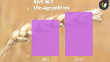 Trigo: sigue con alta volatilidad en Chicago, mientras que localmente está en pausa, con Paulina Lescano - Clínica de Granos