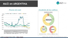 Maíz: El mercado internacional puede dar una ayuda a las bajas locales; con Catalina Ferrari - Clínica de Granos