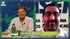 Multiplicadores de variedades, Ley de semillas, y más genética para el productor; con E. Motto - Casem