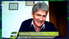 ¿Qué está pasando con el faltante de herbicidas y funguicidas?; con Enrique Baya Casal