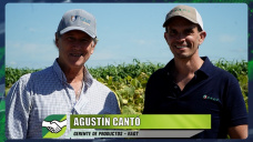 Los secretos de una de las mejores campañas de Girasol en el país; con Agustín Cantó - RAGT