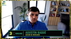 Cosecha 2024 y el dilema de buenos rindes pero...OJO con demanda y precios; con Agustín Baqué - analista