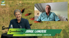 Faltante de hacienda liviana y un mercado ganadero que se recompone; con Jorge Lanusse - consignatario