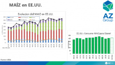 Maíz: EE.UU. con más producción del cereal y Argentina con más siembra, con Lorena D´Angelo - Clínica de Granos