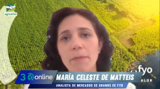 Mercados confusos: maíz sobrepasado, soja guardada, trigo y girasol bien; con M. C. De Matteis- FyO