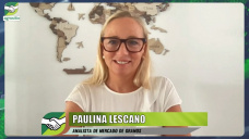 ¿Que conviene hacer en Soja y Maíz para 