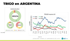 Trigo: Con las buenas condiciones, siguen bajando los precios; con Lorena D´Angelo - Clínica de Granos