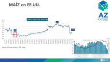 Maíz: Mejoró el precio del cereal por el contexto externo, con Lorena D´Angelo - Clínica de Granos