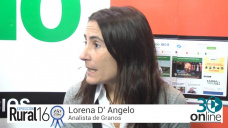 30 online B2: ¿Qué esta pasando con la prima climática y la volatilidad Soja - Maíz?; con L. D´Angelo