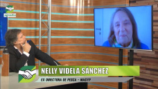 El caso Videla Sanchez en Pesca - MAGyP, y la corrupción público - privada