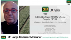 Girasol, el dueño del margen y todo para un nuevo en manejo ganador con Jorge González Montaner