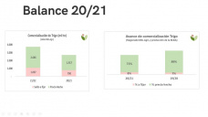 Trigo: no llegó a subir tanto como soja y maíz, pero sí copia las bajas, con Paulina Lescano - Clínica de Granos