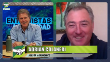 ¿Qué decisiones toman los asesores agropecuarios ante un año Niño con agua?; con Adrián Colaneri - agrónomo