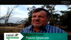 TV: ¿Cómo se prepara para la Post - seca un productor seco?; con Gustavo Almassio