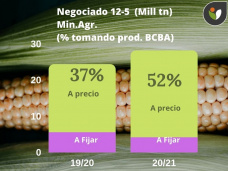 Maíz: en pocas semanas el mercado se sacudió lindo, y entonces que podemos esperar, con Paulina Lescano - Clínica de Granos