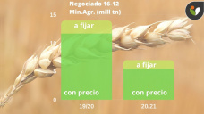 Trigo: poco negociado y sin muchos avances, con Paulina Lescano - Clínica de Granos