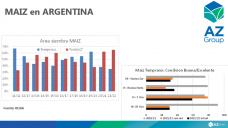 Maíz: Con el comienzo de la cosecha se afirman los precios locales, con Lorena D´Angelo - Clínica de Granos