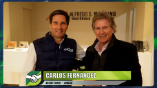 Angus y los resultados de 