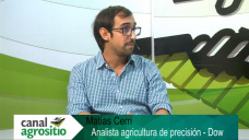 TV: Elegí el híbrido ideal de maíz para tu campo con 