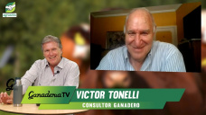 Aumentamos producción Ganadera, caerá consumo interno, ¿exportar con trazabilidad?; con V. Tonelli - ganadero
