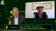 Ganadería: sin aumento del consumo, sin Novillo pesado, ¿y los precios?; con Belisario Castillo 