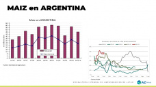 Maíz: es mejor el maíz que la soja; con Lorena D´Angelo - Clínica de Granos