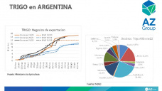 Trigo: Alcanzado el récord del 2008 en Chicago, con Lorena D´Angelo - Clínica de Granos