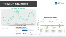 Trigo: La reciente suba de precios ayuda para el 24/25; con Lorena D´Angelo - Clínica de Granos