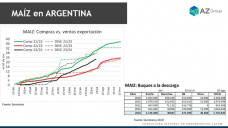 Maíz: la presión de la cosecha tardía es baja, ¿esperar mejores precios?; con Lorena D´Angelo - Clínica de Granos